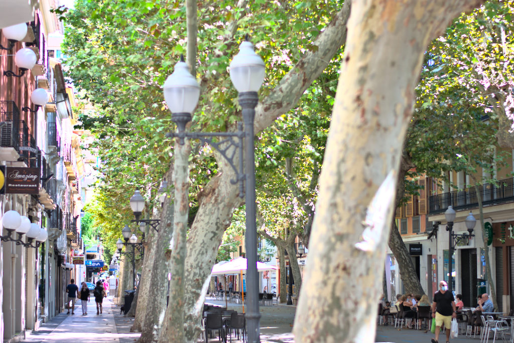 Calle marques de campo denia