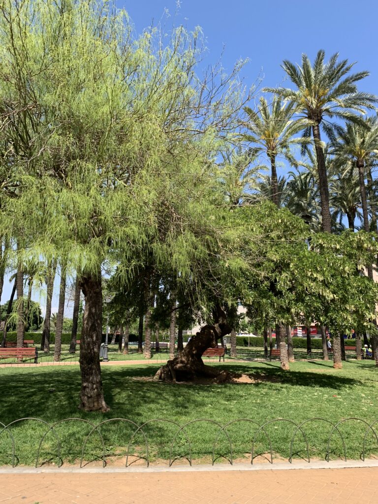 Parque Jaume I dénia