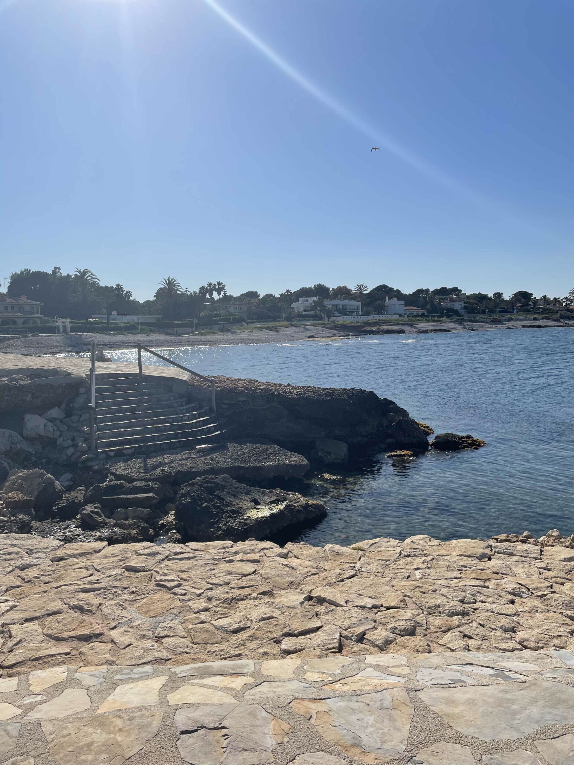 Playa de punta negra