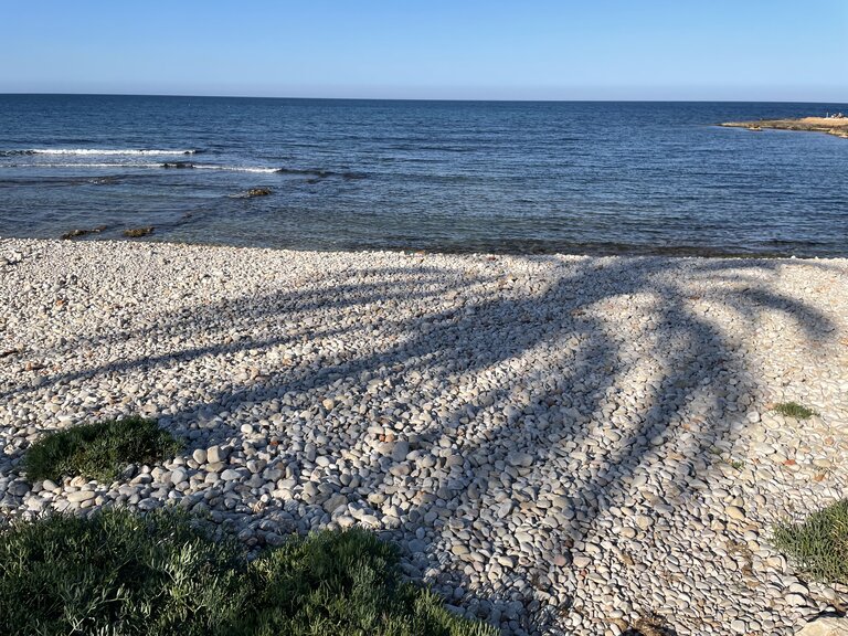 der strand von punta negra.