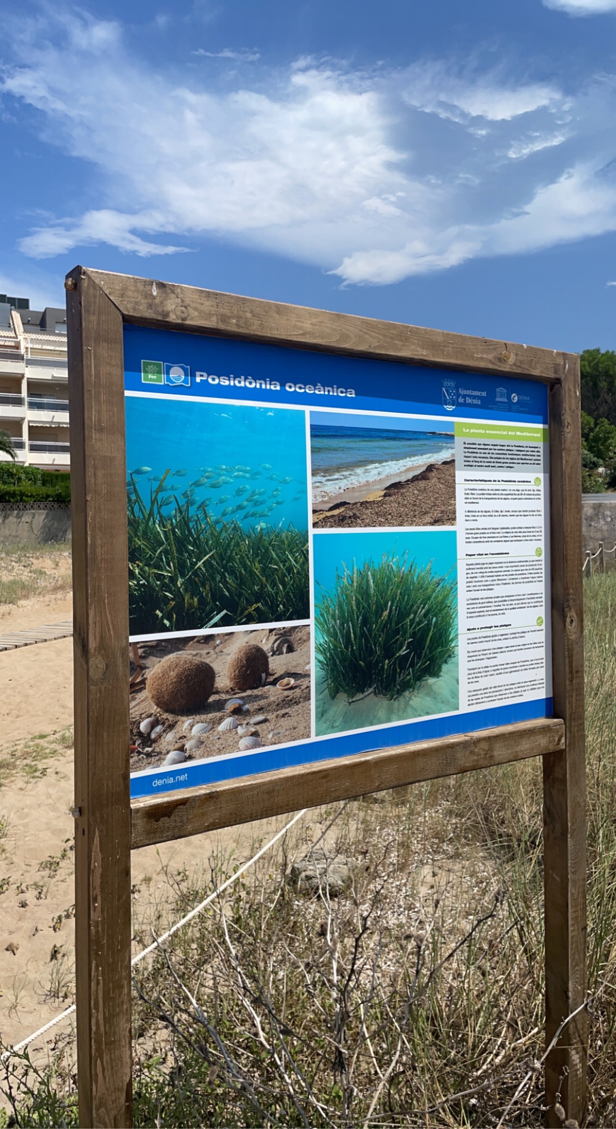 playa dels molins 11