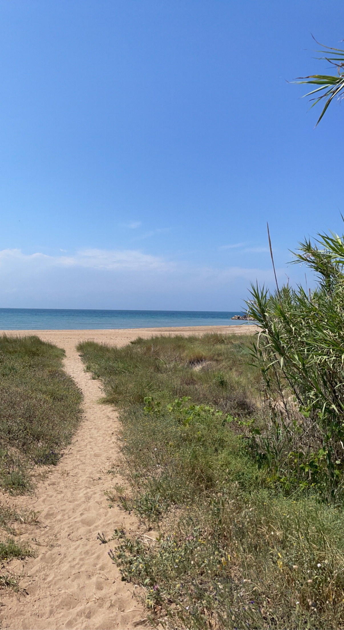 playa dels molins 3