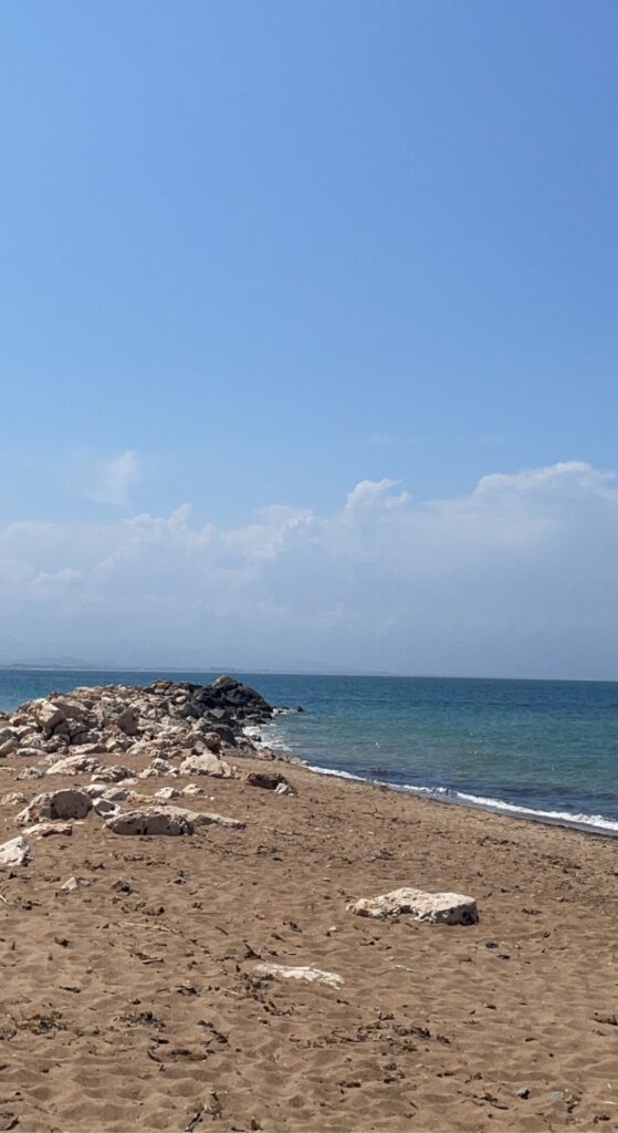 playa dels molins 8