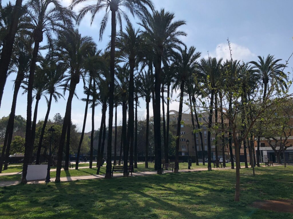 Jardín de la Plaza Jaime I de Dénia